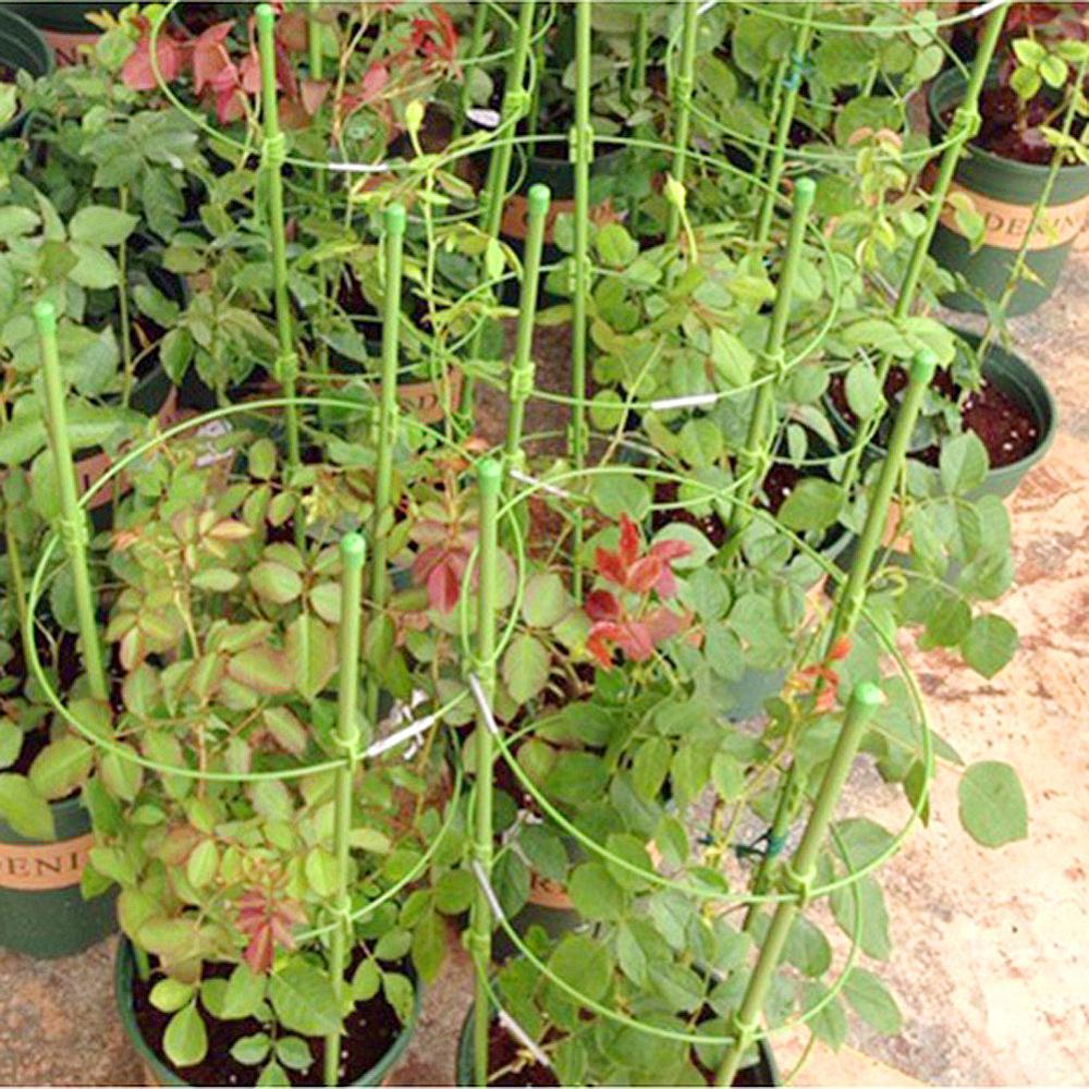 PlantSupport™ cadre de support pour plante | Jardinage